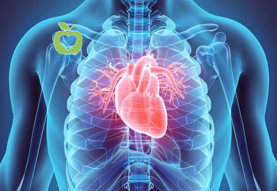 Mastering Cardiovascular Health
